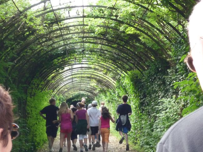 こちらも、<br />サウンドオブミュージックに登場した薔薇のアーチ！<br />前のグループはスキップして去って行きました（笑<br />