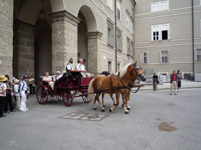 観光馬車があちこにいます