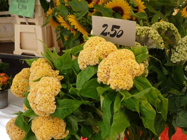 ランチ後はフリータイムです。<br />まずは、閉まらないうちに再び市場へ