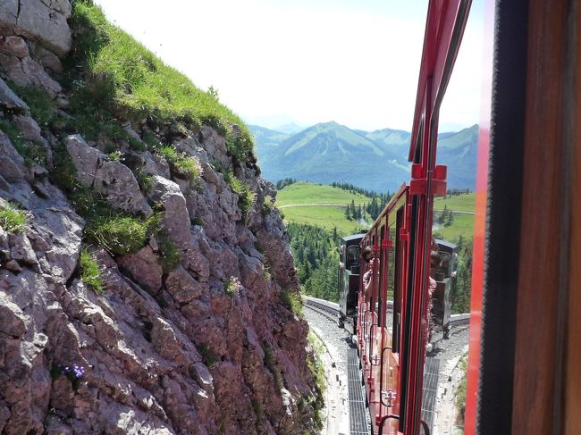 さらに、ずんずん登って・・・