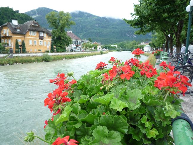 トラウン川<br />前にも書きましたが、水量が豊富な川でございます。
