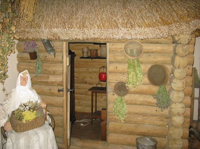 ラトヴィアの伝統薬，や旧来のまじないなどを紹介するコーナーもあった．11時を過ぎたので1126発Tukums行きに乗るために大急ぎで駅に向かう．すこしお金が足らなそうなのでホテルの隣の銀行のATM（故障していてもクレームが付けられるので）10Lsのみおろす．これでじゅうぶんだろう．合計110Lsがホテルを除いた3泊4日の滞在費．