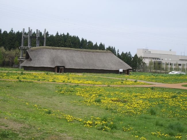 三内丸山遺跡