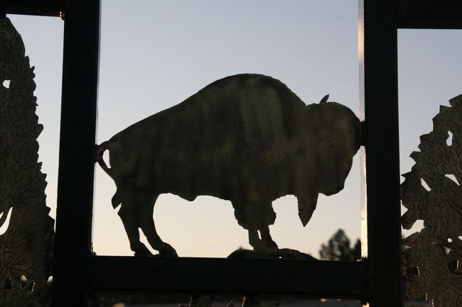 シルエットを何枚か写しました。