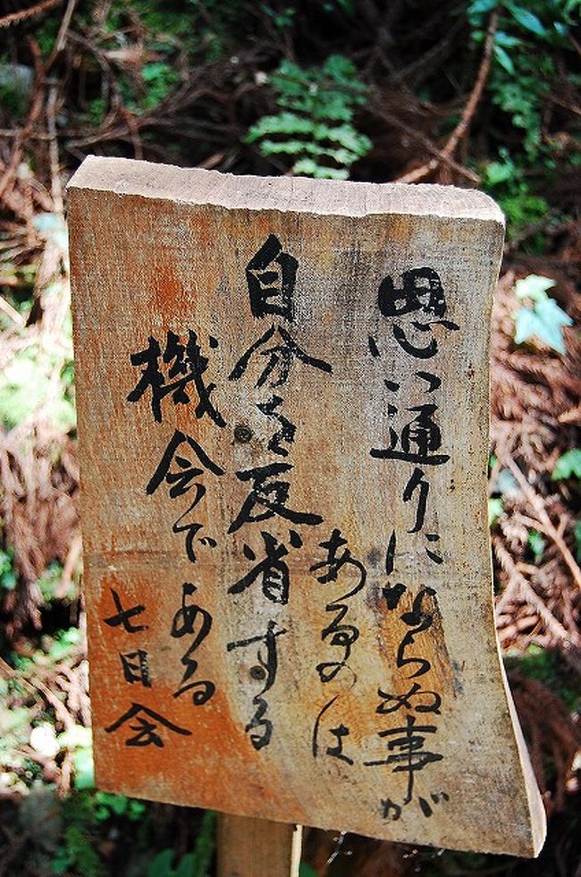 駐車場を降りてから、お寺までは徒歩で10分ほどの道のり。<br />とにかく暑いーーー。<br /><br />山道の途中に、色々な格言が書かれた看板が立てられていました。<br />「思い通りにならぬ事があるのは<br />　自分を反省する機会である」<br /><br />なるほどね。<br />反省しなくちゃなー。