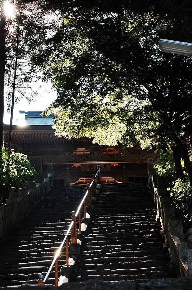 ★第65番　由霊山　三角寺（さんかくじ）<br /><br />聖武天皇の勅願で行基が開山、後に弘法大師が巡錫した。<br />大師はここで三角形の護摩壇を築いて21日もの間祈祷したという。<br />庫裏の裏にある三角の池は護摩壇の跡と伝わっている。寺の号もこの縁起が基となっている。<br />本尊像は平安中期の作で、安産、子育て、厄除けの観音として信仰される。<br /><br />ここ65番が愛媛県の最後のお寺です。<br />駐車場から73段の石段を上ったところにある山門には、梵鐘が釣られています。