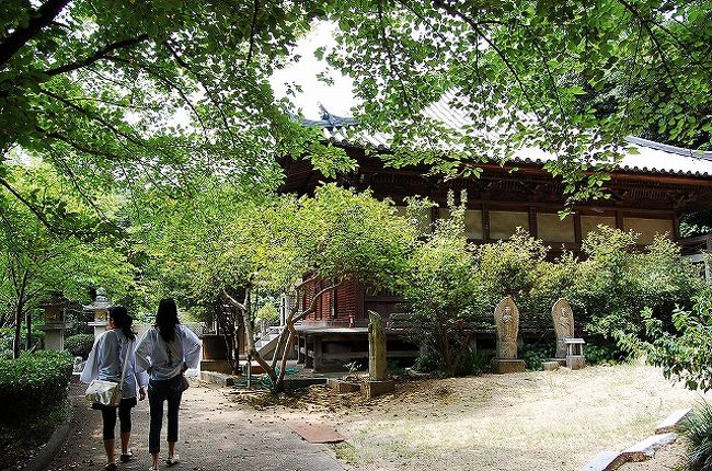 駐車場から小道を抜けて境内に入りましたが、こちらはお寺の裏側でした。<br />山門は山の下側。<br /><br />ここのお寺で、今回のお遍路で初めて団体のお遍路さんを見かけました。<br />これだけ暑いので、基本的に夏はお遍路の季節ではないので、全体的にお遍路さんは少なかったです。