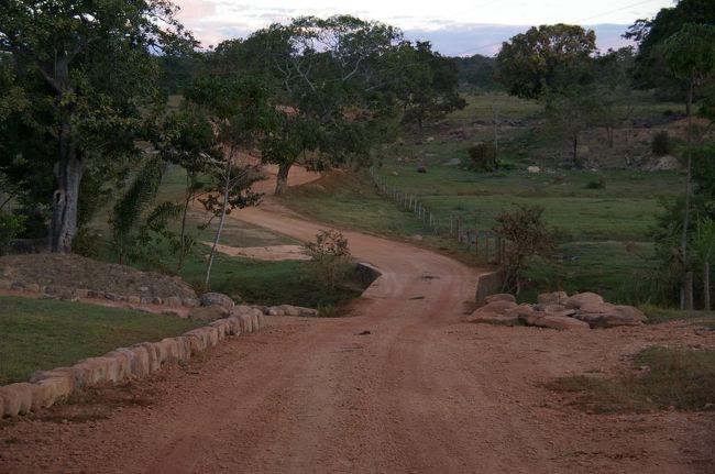 ここの土はすべて赤土。別ページでその謎がとけました