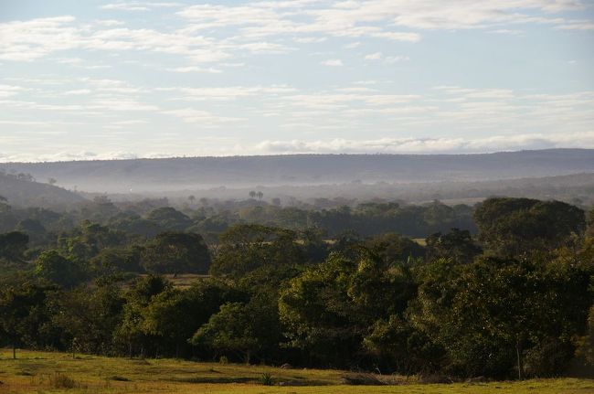 朝もやも素晴らしく、芝と木のにおいをひさし部栄にかぎながら目が覚める