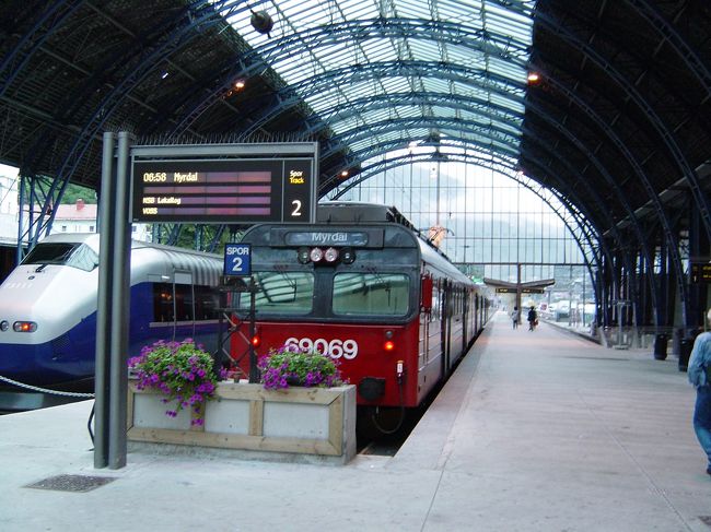 初日はベルゲンに宿泊。2日目はフィヨルド日帰り観光をしました。ベルゲン駅から鉄道を利用しました。