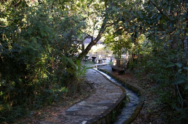 朝ごはんの前に裏庭に散歩に出る。どうやら川が流れていて滝もあるらしい！！