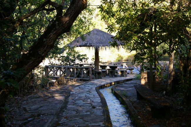 どんどん奥に歩いていくと