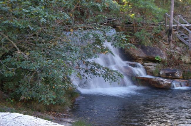 この後滝つぼに飛び込みました！！<br />