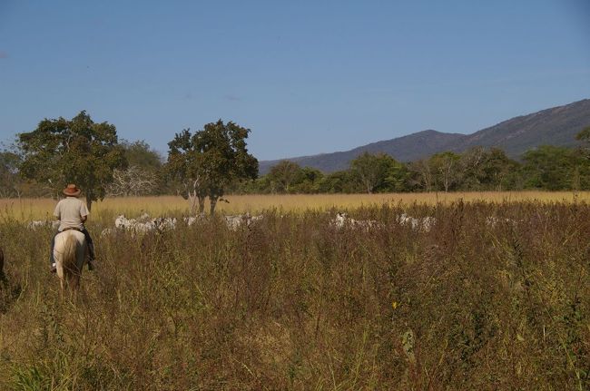早速牧場にHORSE RIDING スタート。聞けば牧場をフルに回れば一日では回りきれないという