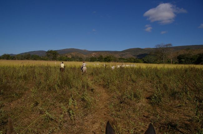早くも遅れをとってます。馬を走らせるときには腹を蹴り上げると教えられたが。。。怖くてできない。
