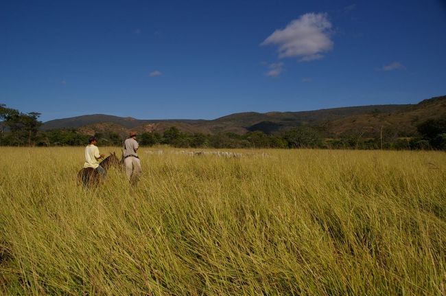 今日はだいたい５時間ほど乗るという。馬に５時間も乗ったら僕の体は。。。。降りた瞬間僕の体は、お尻は予想以上のダメージでした