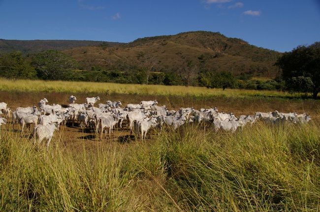 近くによるとみんなこちらを見てます