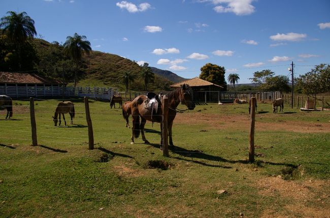 小休憩。僕の体は限界に来ていましたが、馬はこれでも休憩しているとか