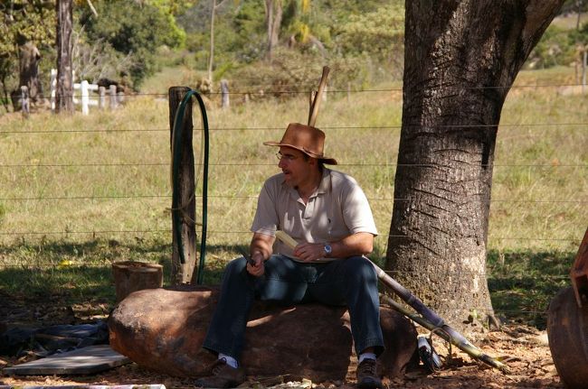 ブラジルはこのサトウキビからエタノールを作り、車を走らせているが、取れたてのサトウキビはとっても新鮮で美味しい。車の燃料になる前に、自分の燃料に