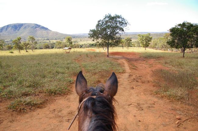 小休憩を取った後また牛追いに出かける