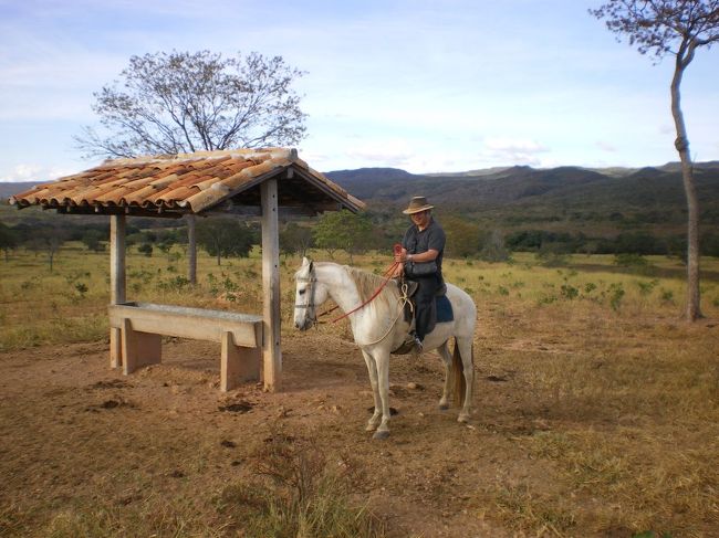 搾乳見学を終えた僕はまた馬に乗り牛追いに出かける。正直体中が痛い。。。