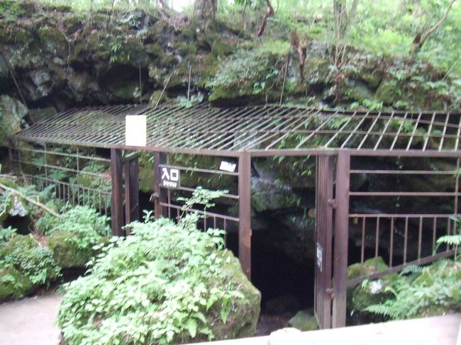 ネイチャーガイドツアーを終えて、<br />コウモリ穴まで戻ってきましたので、<br />コウモリ穴に入洞することにしました。