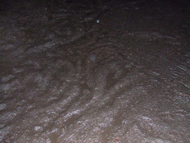 夏でも涼しいコウモリ穴。<br /><br />これは溶岩が縄状に固まったものです。