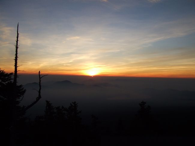 太陽が出てきました。