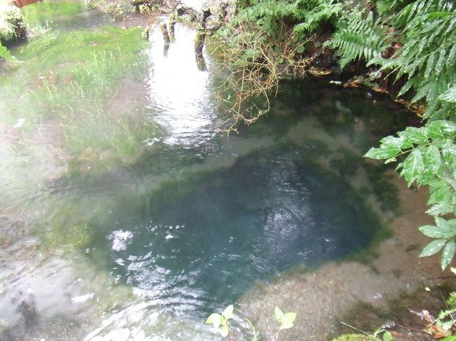 根場で昼食後、駅に戻ったらまだ2時。。<br />ということで、急遽富士吉田の忍野八海に<br />行ってみることにしました。<br /><br />富士吉田駅から忍野八海まで<br />バスで20分強でした。<br /><br />忍野八海は富士山の伏流水に水源を発する<br />涌水池で、江戸時代は富士山に登る前に<br />体を清める霊場でもありました。<br /><br />これはお釜池の写真です。