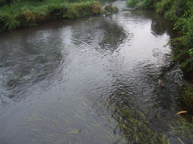 濁池<br /><br />名前と違ってにごってはいませんでした。