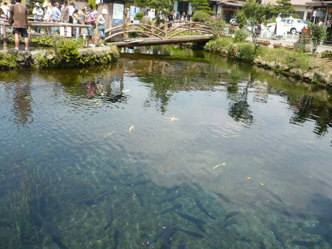 次の目的地は「忍野八海（おしのはっかい）」。<br />富士山からの湧き水が８つの池となって<br />湧き出している所です。<br />