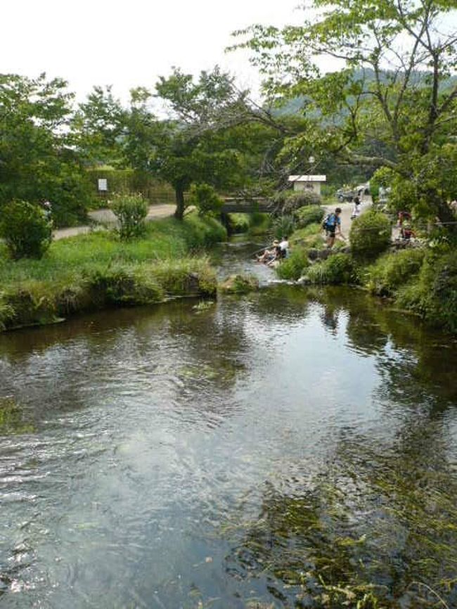 いかにも涼しそうな流れ。<br />実際、とても冷たい水でした。