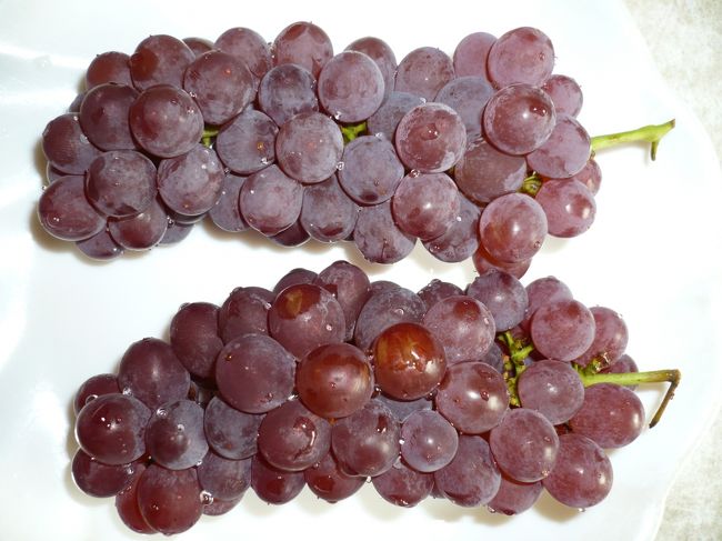 これがデラウェア。<br />ほどよい酸味と甘さで、おいしかった。<br /><br /><br />※その２「芦ノ湖・湖上花火大会」編<br />に続きます。