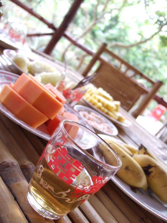 その後は、色とりどりのフルーツなどで、<br />お昼ごはん。<br /><br />横では、ベトナムの民族音楽を演奏してくれてました。