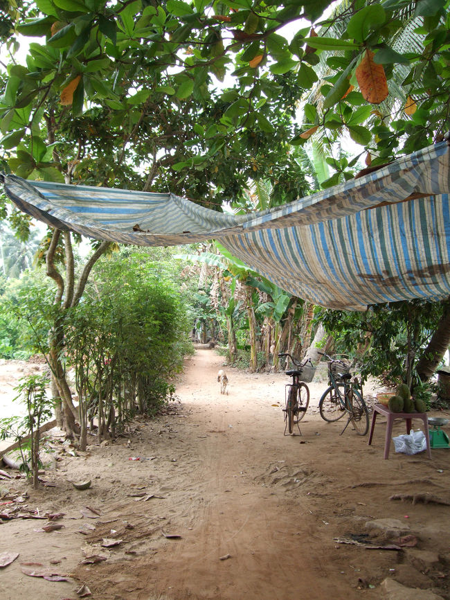 中州の中はこんな道になっていて、<br />ところどころにお土産屋をやっている人がいます。<br /><br />この島だけでも数千人（たしか…）が住んでると聞いて、ビックリ。