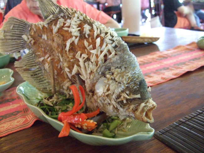 これがメコン河名物、エレフェントフィッシュ！<br /><br />揚げているので、カサゴの唐揚げみたいな感じ。<br /><br />まあ、名物と言われたらそうなんだろうけど、<br />わざわざこれを目当てにする必要はありません。<br /><br />あ、昼ごはんはツアーでパックになっている<br />「MEKONG REST SHOP」というところで食べました。<br />観光客たくさん。