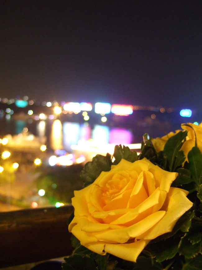 最後は、「マジェスティック」の屋上のカフェで、<br />スイーツ＆エスプレッソを。<br /><br />目の前にはサイゴン川と、そこを渡る船が見え、<br />夜風が気持ちよかったです。<br /><br />初めてのベトナム、<br />十分に楽しかったですっ！