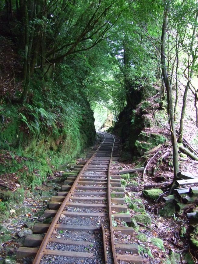まずはトロッコ道<br /><br />行きはどんだけ続くの!?この道???って思いました。