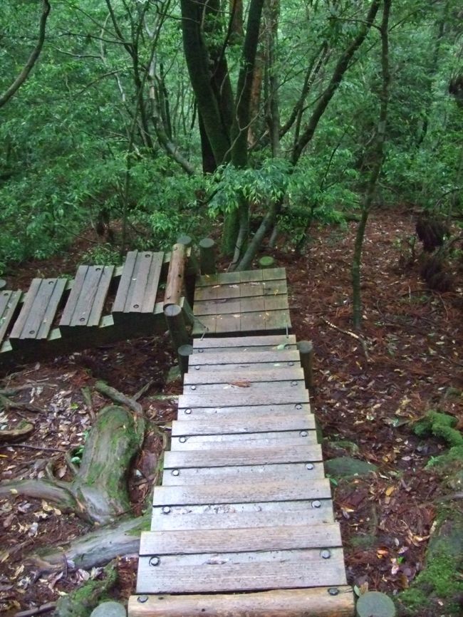 階段が設置されているところもあります。