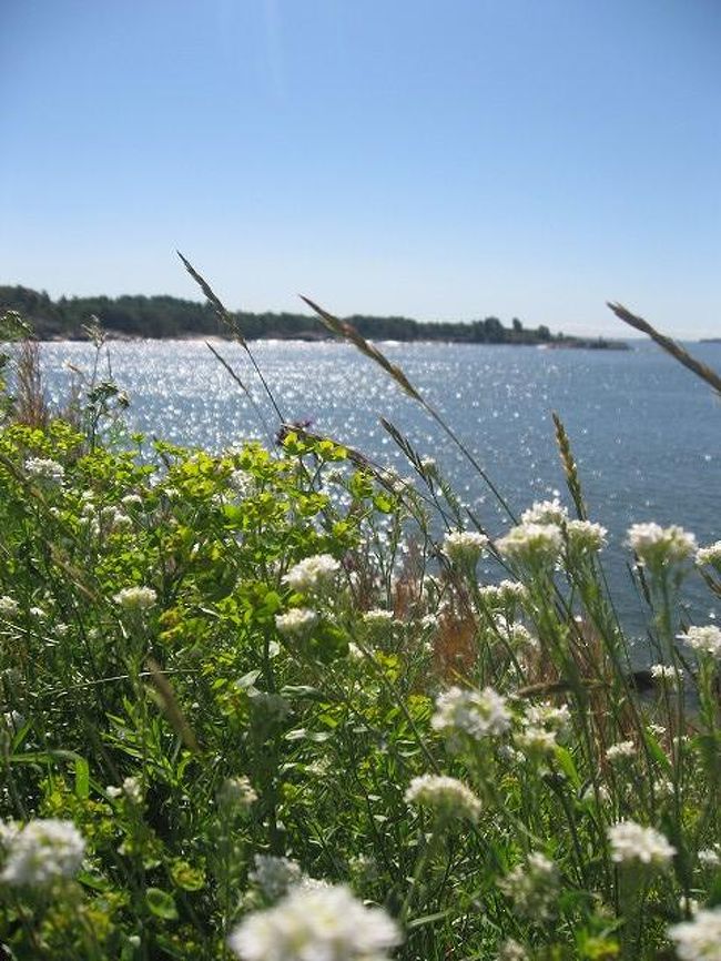 小花。<br />海風と日差しで気持ちよさそうです。