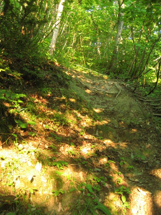 本日の宿泊地、会津宮下駅に到着。<br />旅館に荷物を置き、タクシーで道の駅へ。<br />道の駅近くに只見川を展望できるスポットがあるのだが・・・<br />けっこう険しい道。<br />写真のような道を登りました。