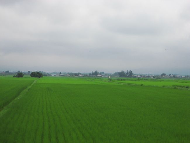 只見川から離れると、<br />会津若松に向かう間、田園風景が広がりました。<br />稲の成長が早いような気がしました。<br /><br />只見線の景色はとっても素晴らしかったです♪<br />またいつに日か乗車したいと思います。