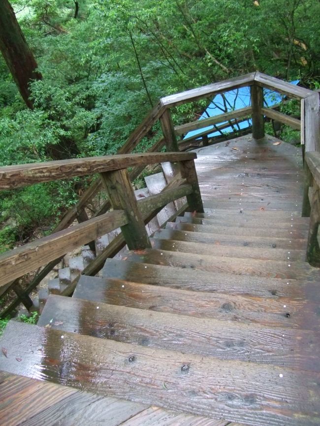 そしてこの階段を登ると…