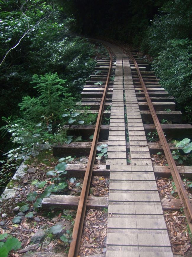 帰りのトロッコ道は楽勝です！