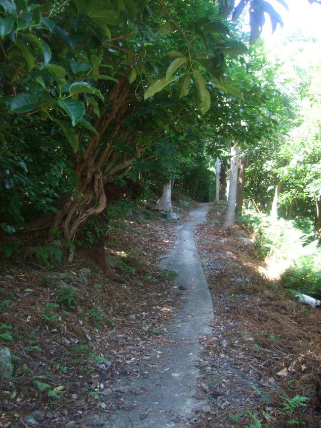 灯台へ続く道。<br /><br />体力なかったので諦めました