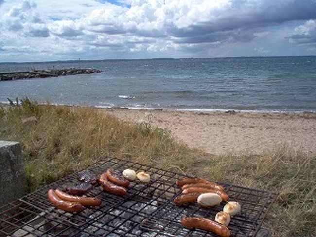 バーベキューをしている人たちの仲間に入れてもらいました。<br />対岸のデンマークを見ながらのバーベキュー。<br />ソーセージ少し塩辛い。<br />