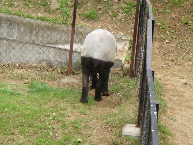 はい、これ最後の写真！<br />お尻と胴体、違う色〜！マジうけるｗ<br />可愛すぎる（笑）