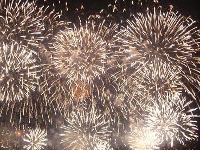 カメラに収まりきれないほどの迫力が！！