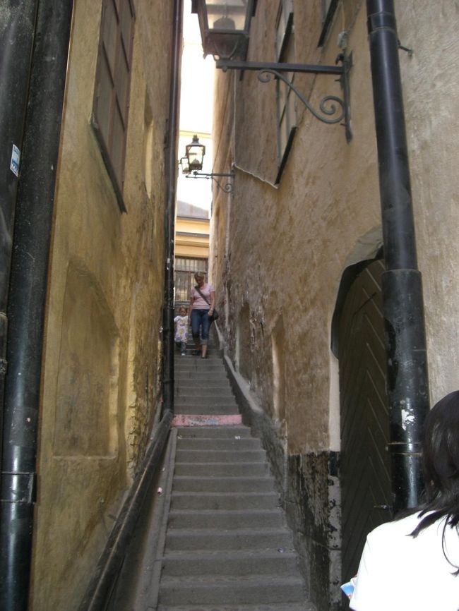 親子が手をつなぐと<br />それで横幅がいっぱい