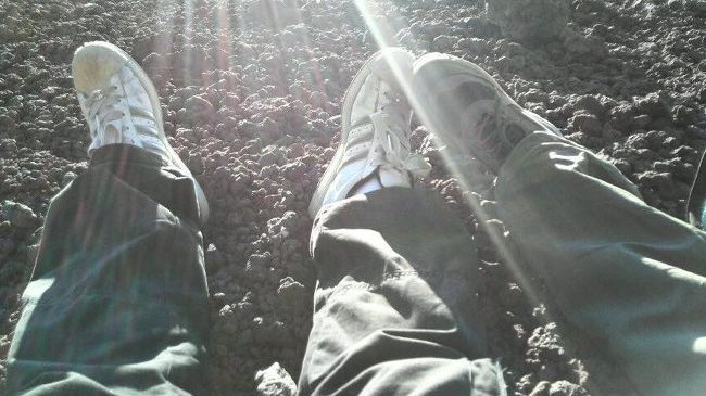 疲れてボーっとしながら携帯で写真を撮ってみたら。<br />意外にいいのが撮れました。